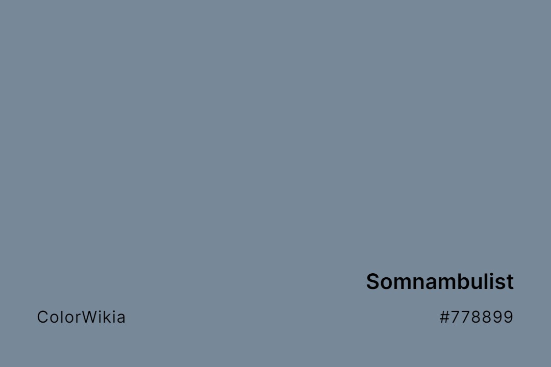 Somnambulist Color – #778899: Codes and Complete Breakdown