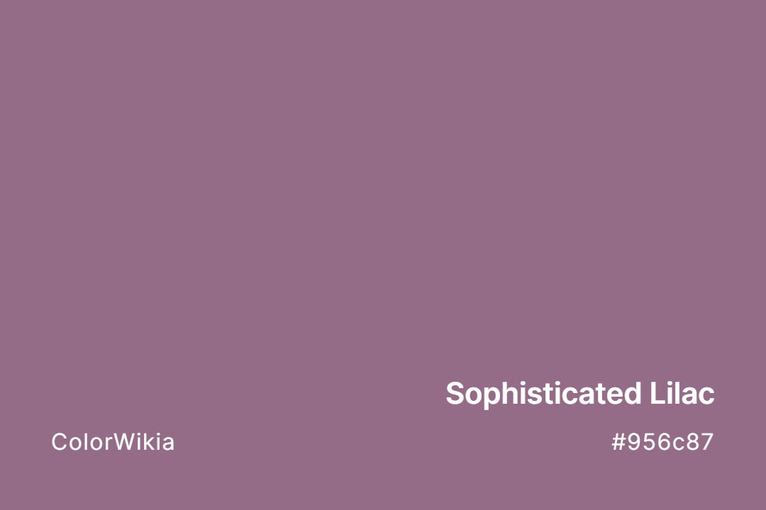 Sophisticated Lilac Color – #956c87: Codes and Complete Breakdown