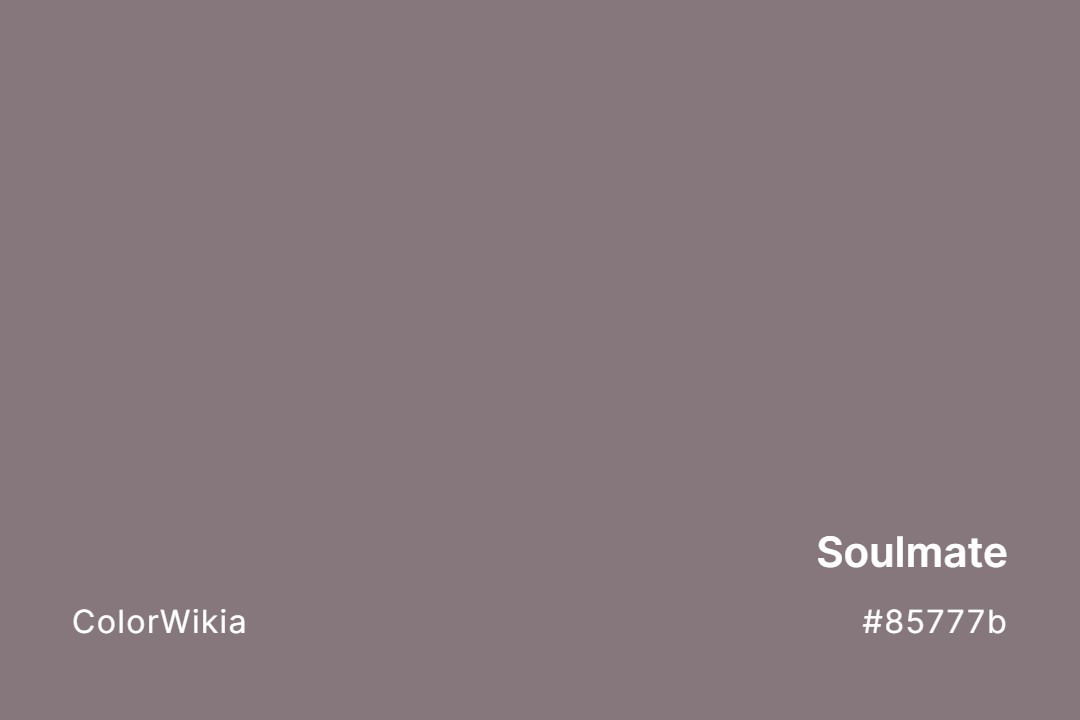 Soulmate Color – #85777b: Codes and Complete Breakdown