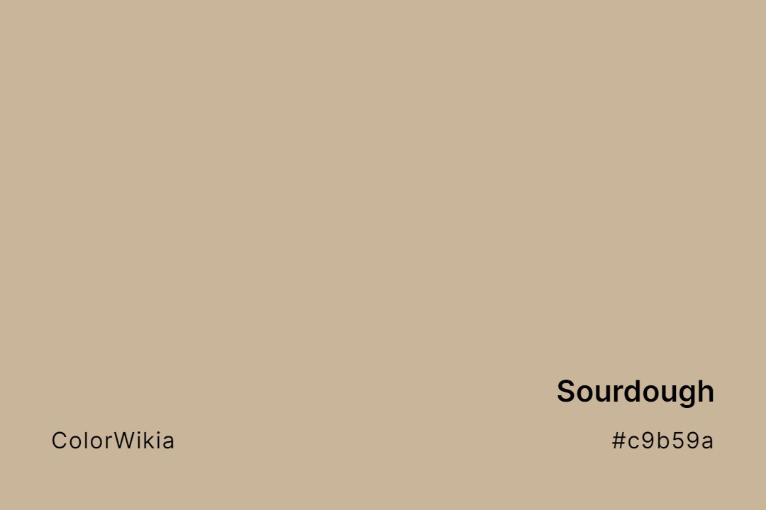 Sourdough Color – #c9b59a: Codes and Complete Breakdown