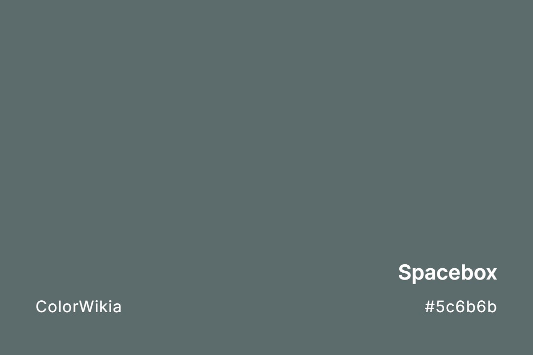 Spacebox Color – #5c6b6b: Codes and Complete Breakdown