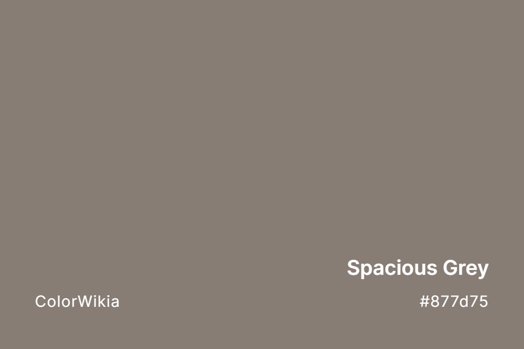 Spacious Grey Color – #877d75: Codes and Complete Breakdown