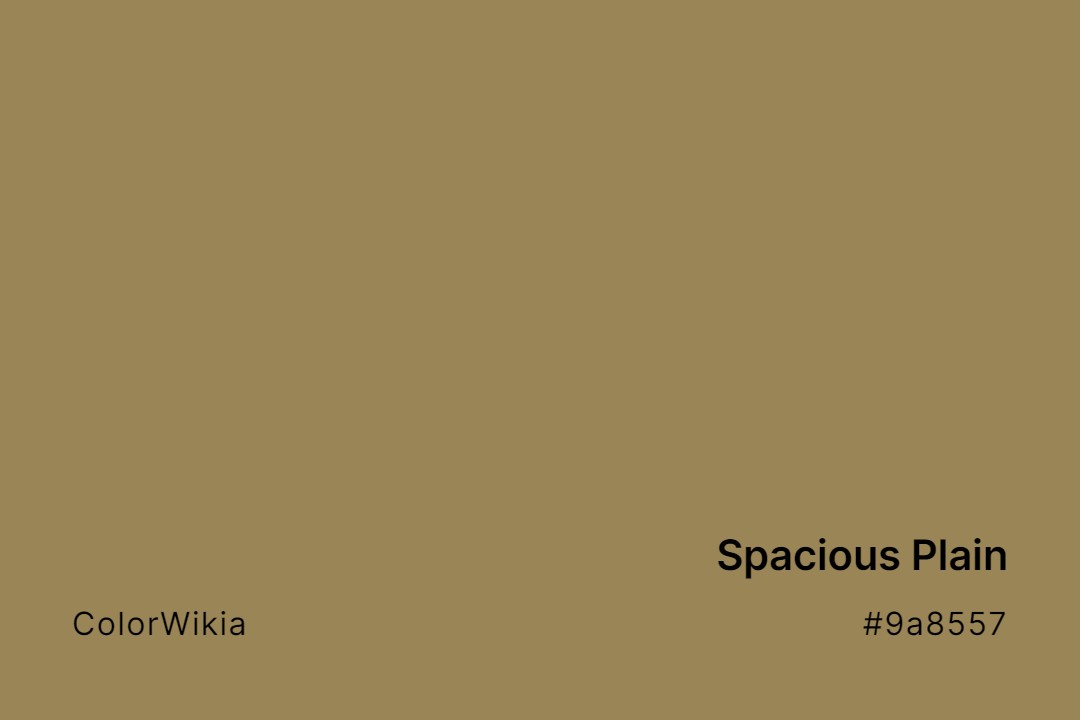 spacious plain color 9a8557