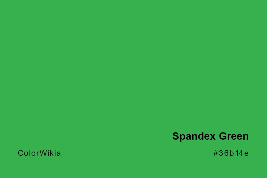 Spandex Green Color – #36b14e: Codes and Complete Breakdown