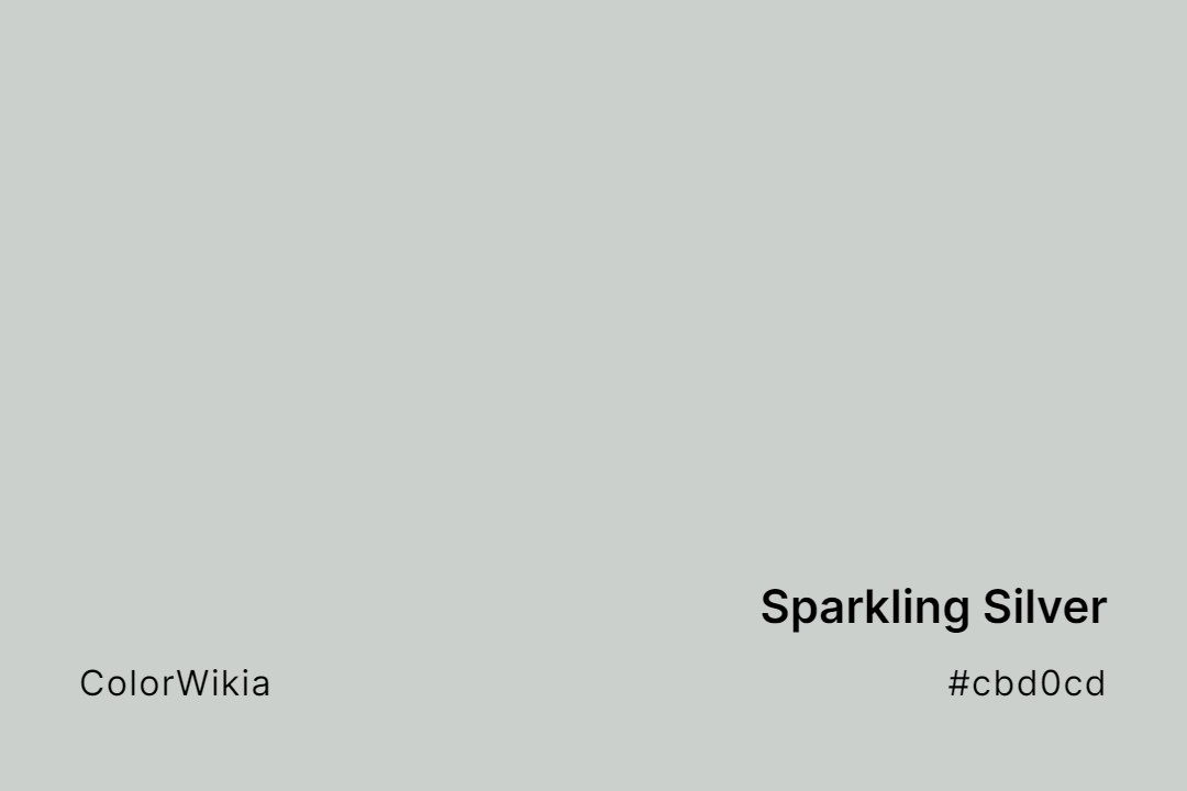 Sparkling Silver Color – #cbd0cd: Codes and Complete Breakdown