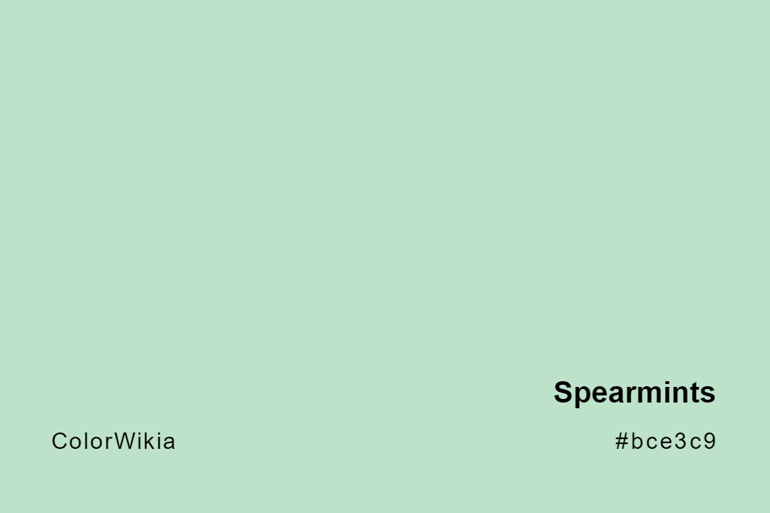 Spearmints Color – #bce3c9: Codes and Complete Breakdown