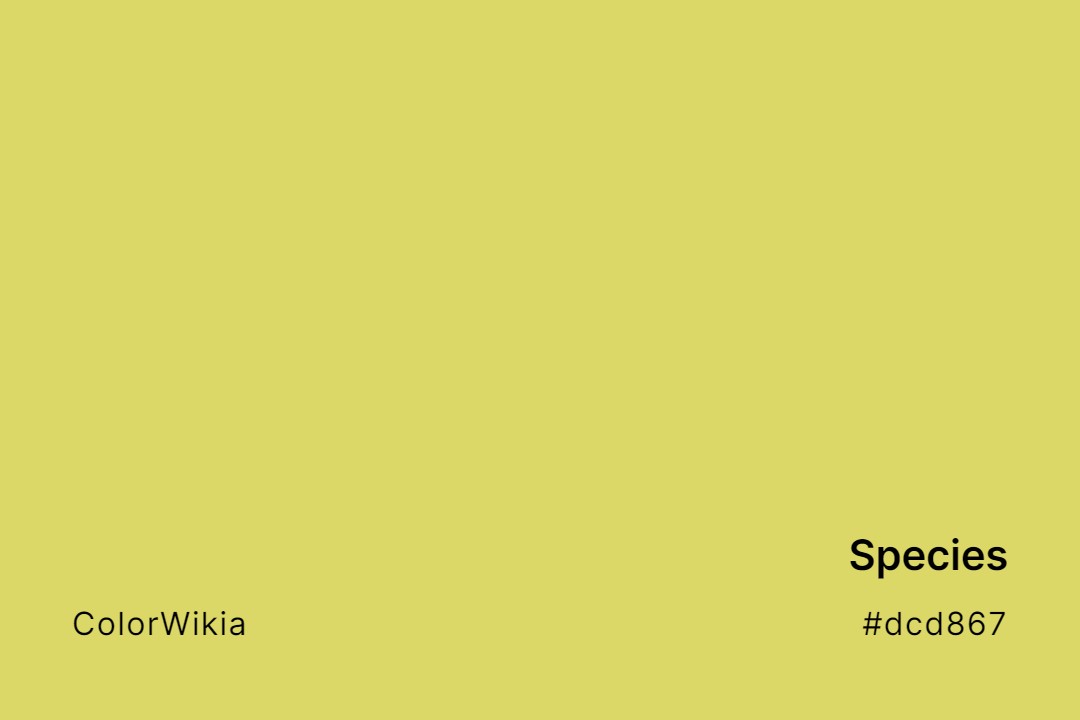 Species Color – #dcd867: Codes and Complete Breakdown