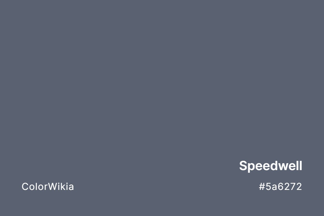 Speedwell Color – #5a6272: Codes and Complete Breakdown