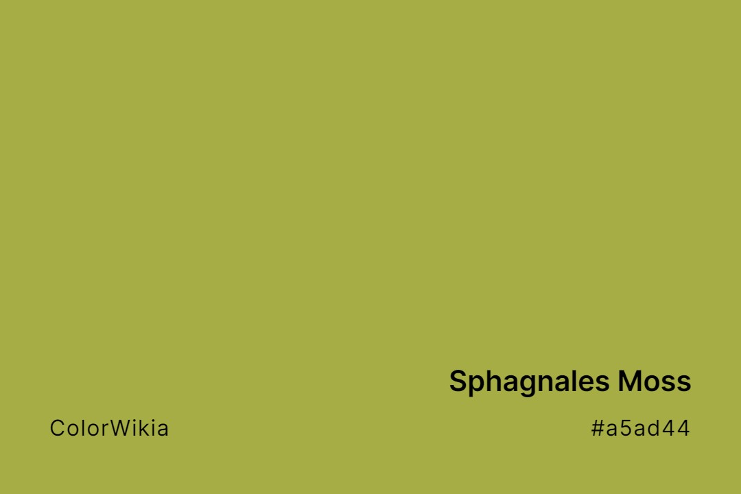 sphagnales moss color a5ad44