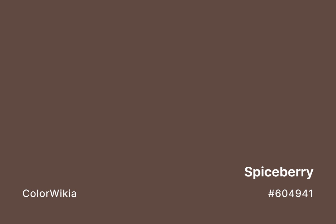 Spiceberry Color – #604941: Codes and Complete Breakdown