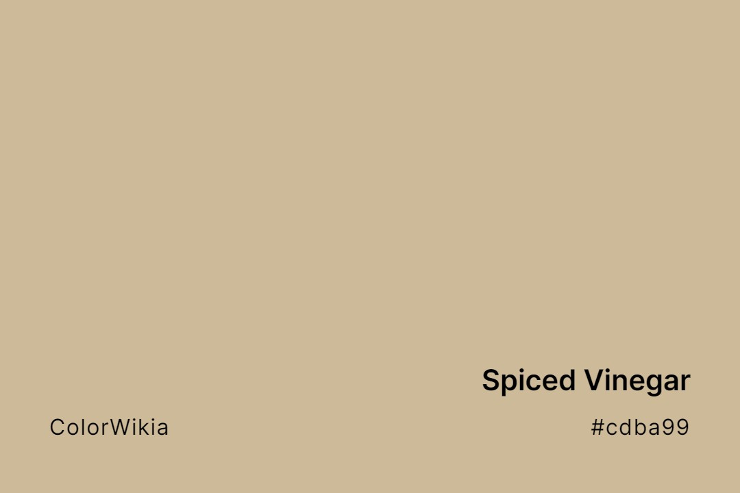 Spiced Vinegar Color – #cdba99: Codes and Complete Breakdown