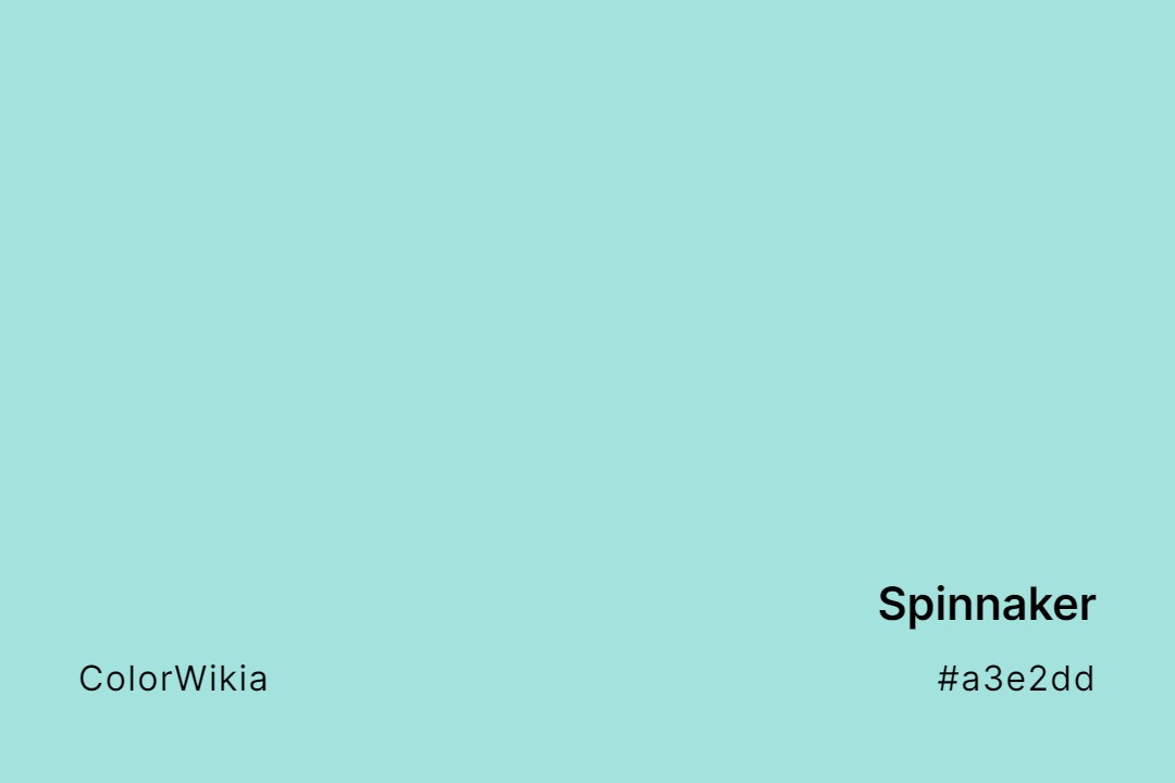 Spinnaker Color – #a3e2dd: Codes and Complete Breakdown