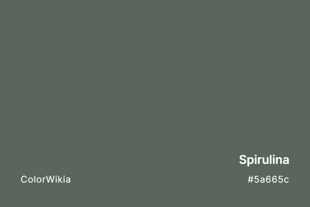 Spirulina Color – #5a665c: Codes and Complete Breakdown