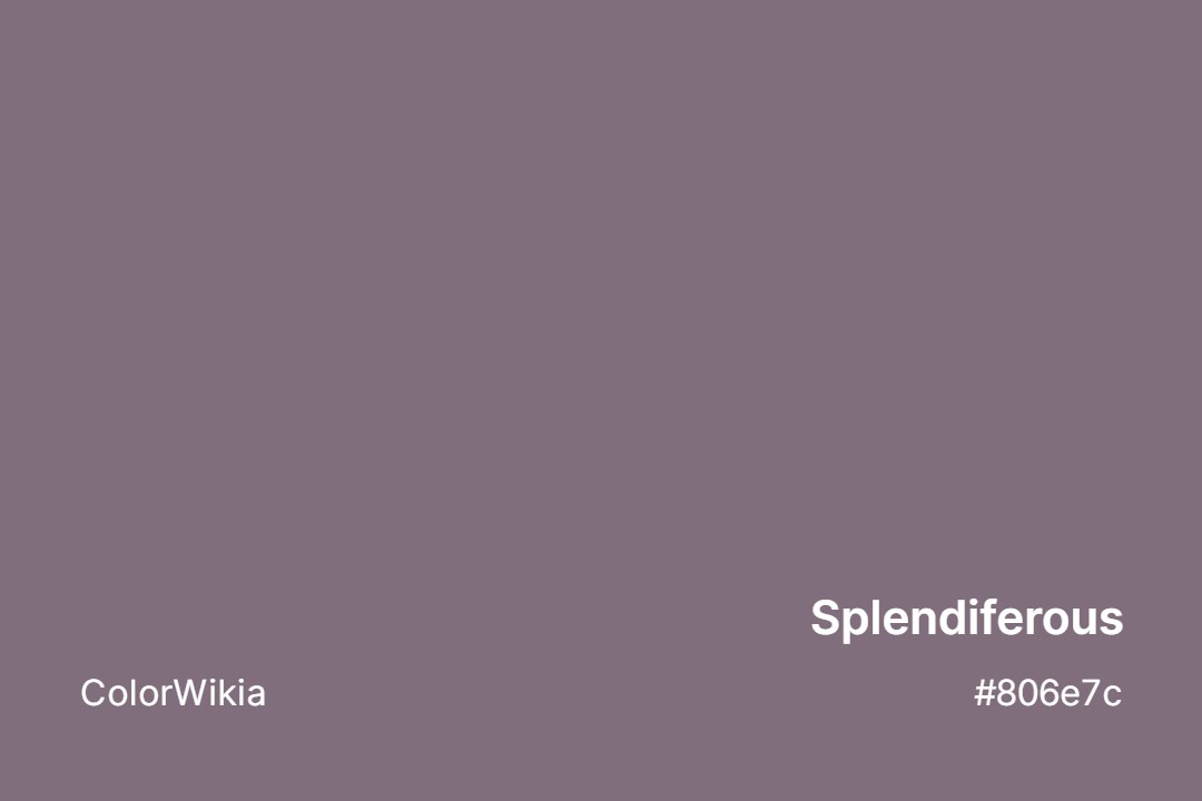 Splendiferous Color – #806e7c: Codes and Complete Breakdown