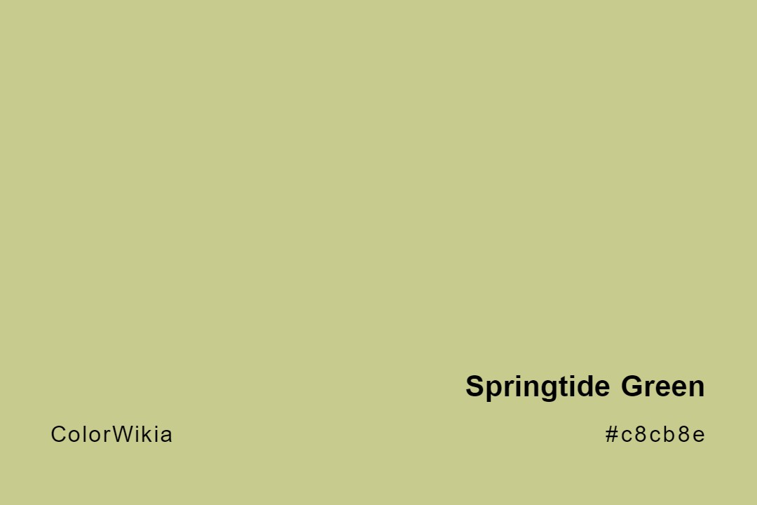 Springtide Green Color – #c8cb8e: Codes and Complete Breakdown