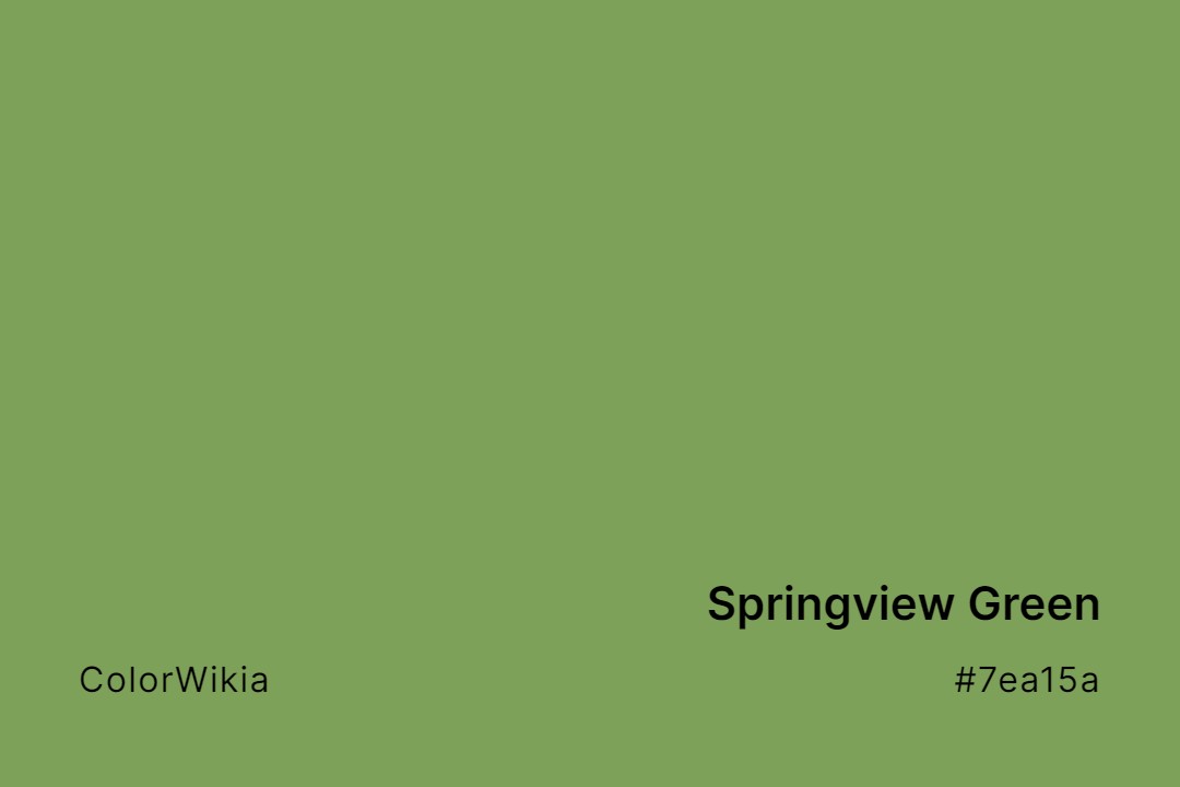 Springview Green Color – #7ea15a: Codes and Complete Breakdown