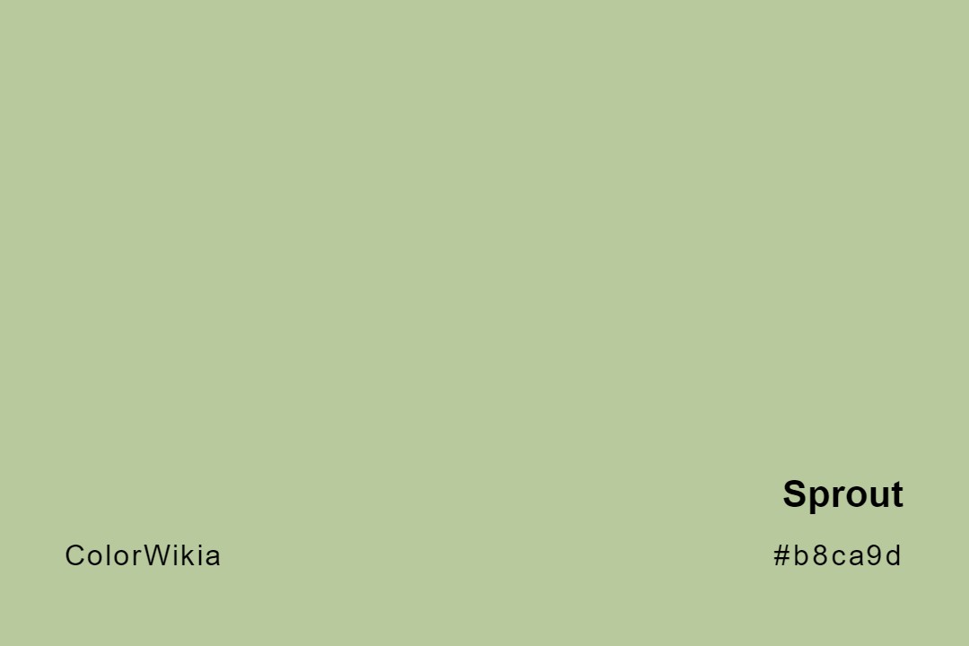 Sprout Color – #b8ca9d: Codes and Complete Breakdown