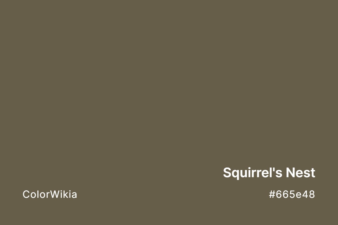 squirrels nest color 665e48