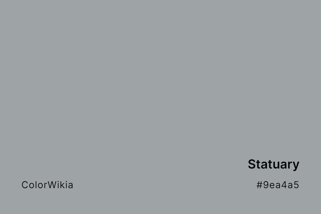 Statuary Color – #9ea4a5: Codes and Complete Breakdown
