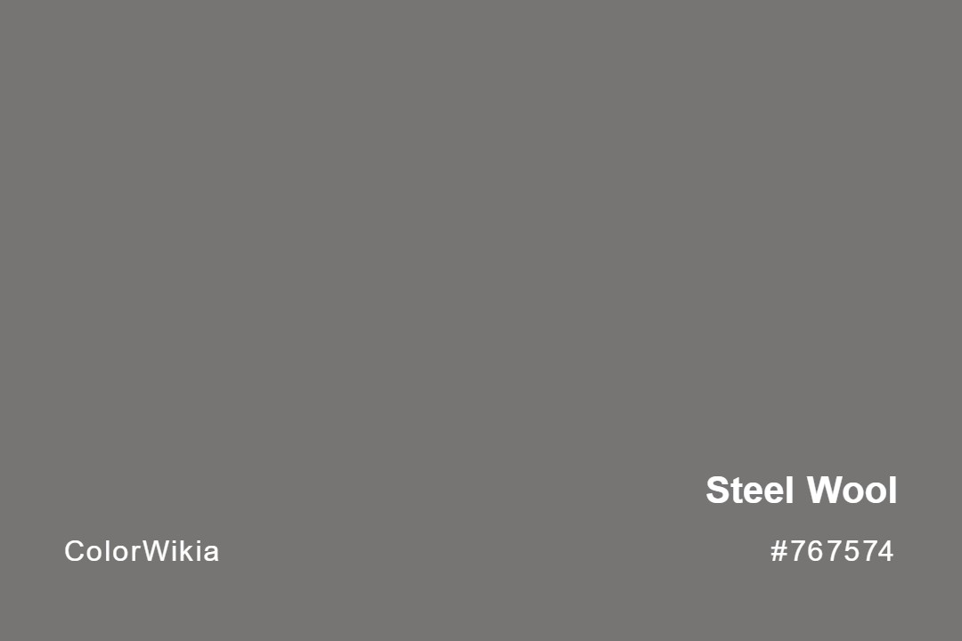 steel wool color 767574