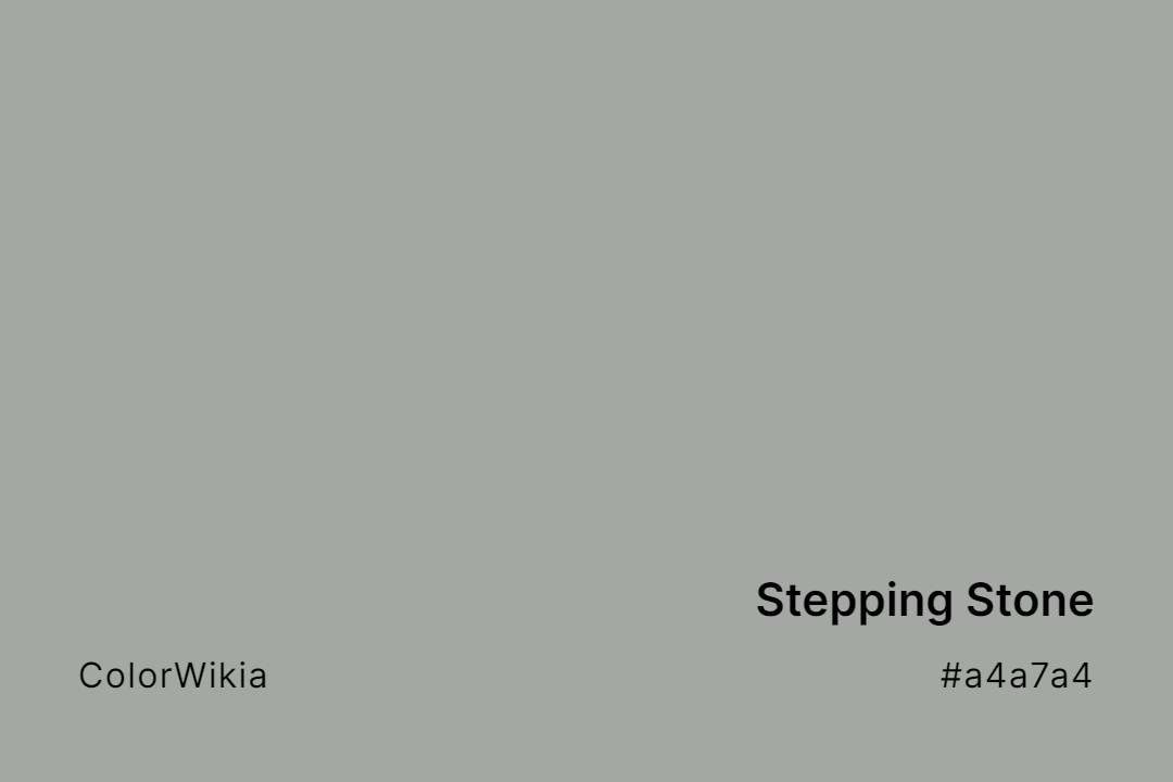 Stepping Stone Color – #a4a7a4: Codes and Complete Breakdown