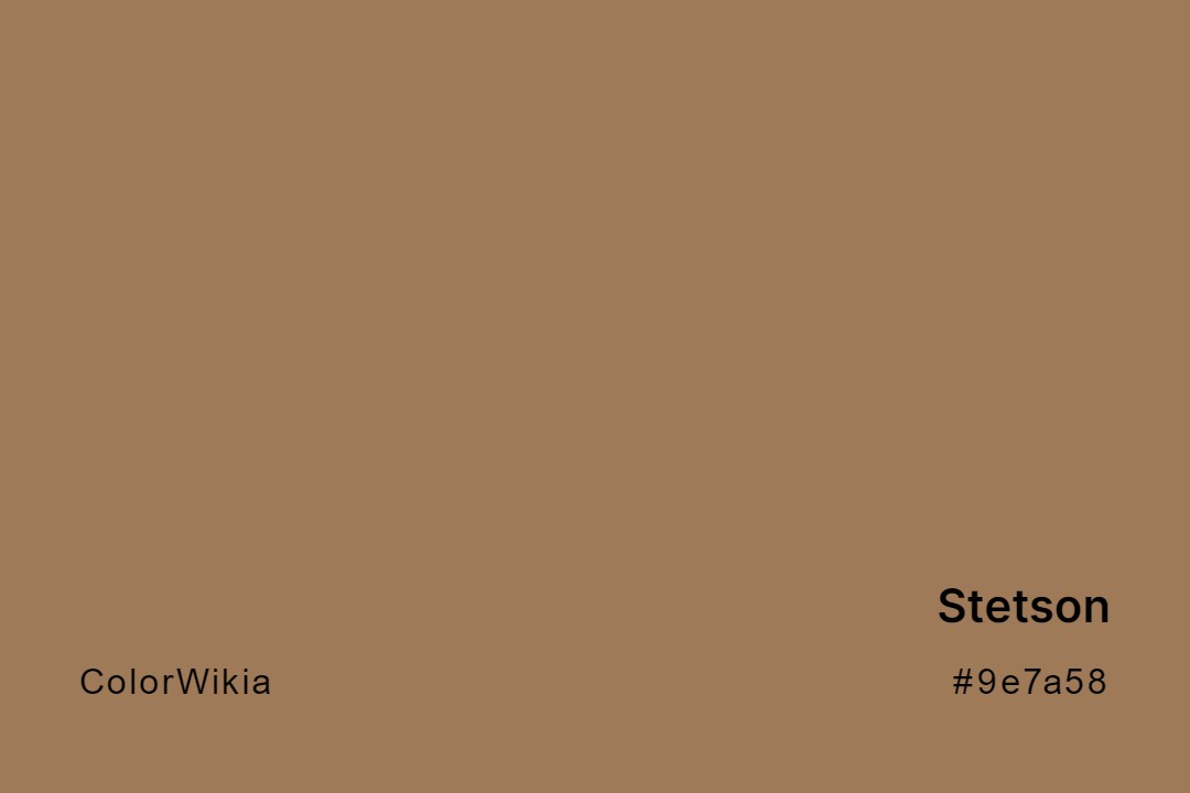 Stetson Color – #9e7a58: Codes and Complete Breakdown