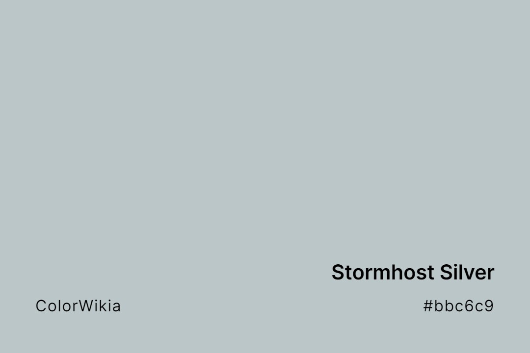 stormhost silver color bbc6c9