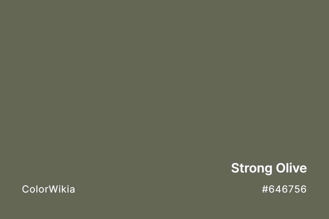 strong olive color 646756