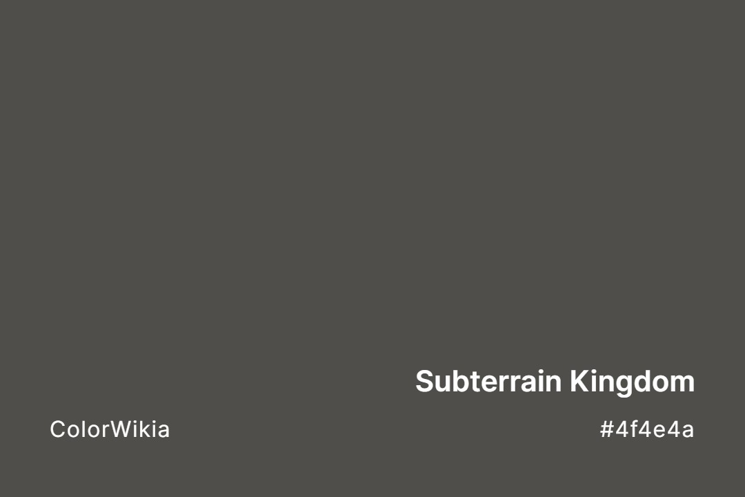 subterrain kingdom color 4f4e4a
