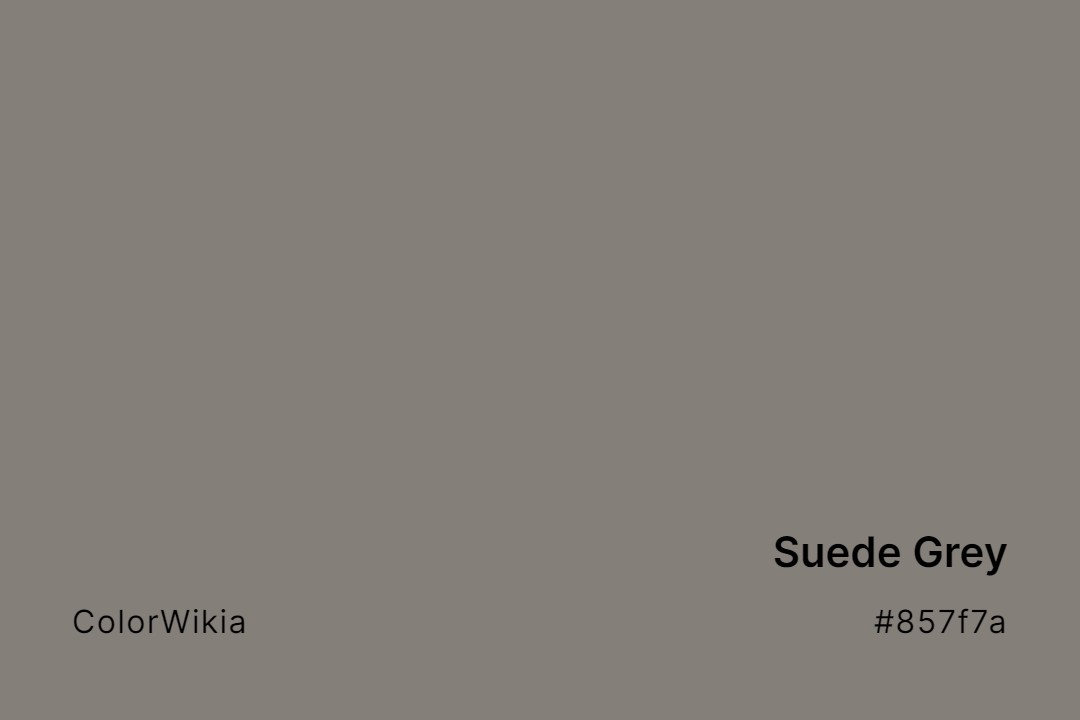 suede grey color 857f7a