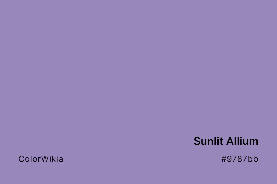 Sunlit Allium Color – #9787bb: Codes and Complete Breakdown