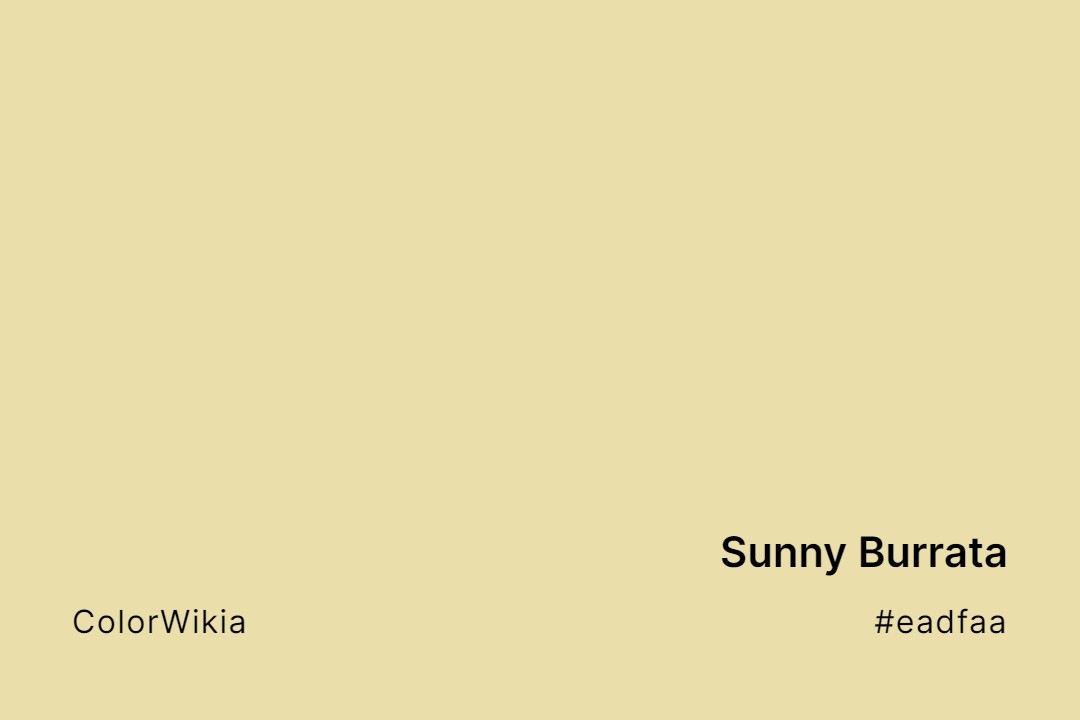 Sunny Burrata Color – #eadfaa: Codes and Complete Breakdown