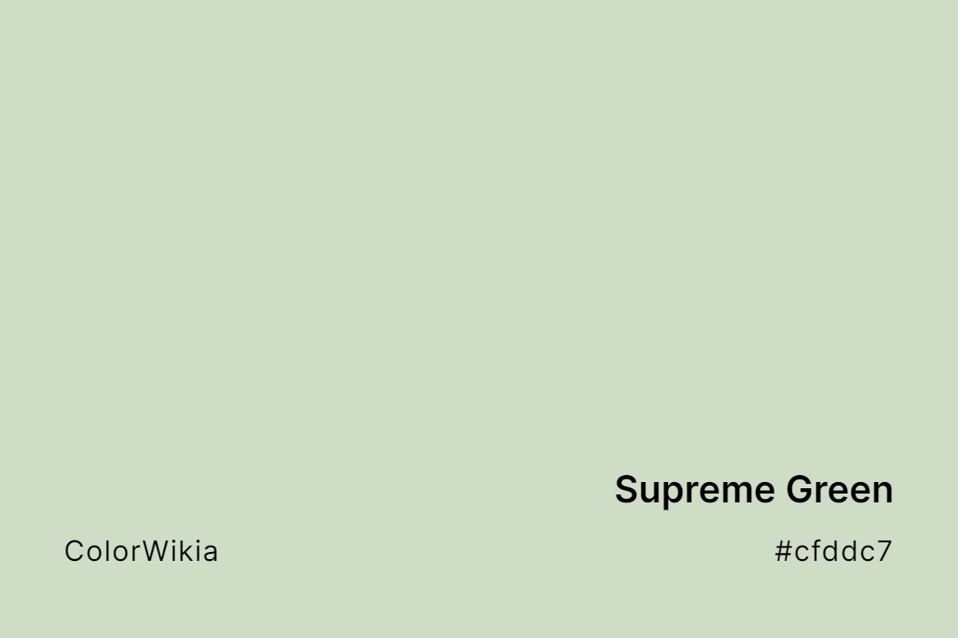 Supreme Green Color – #cfddc7: Codes and Complete Breakdown