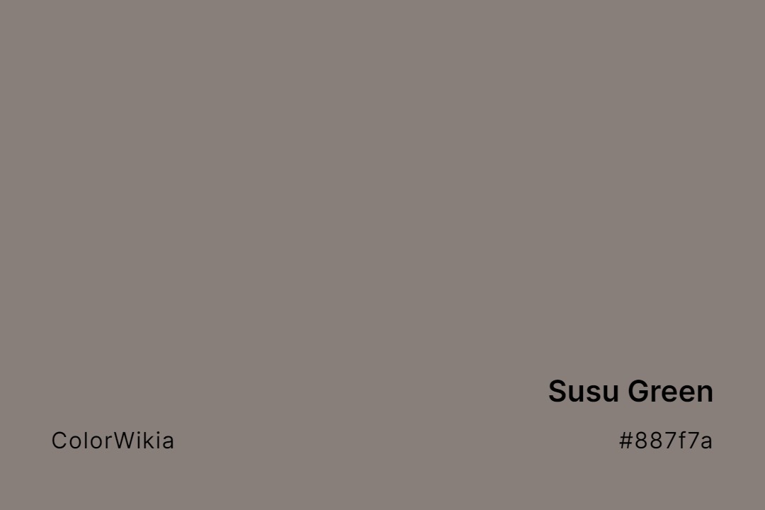 Susu Green Color – #887f7a: Codes and Complete Breakdown