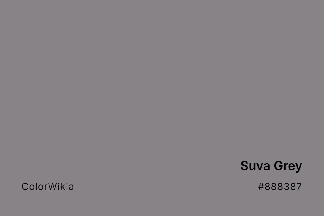 Suva Grey Color – #888387: Codes and Complete Breakdown