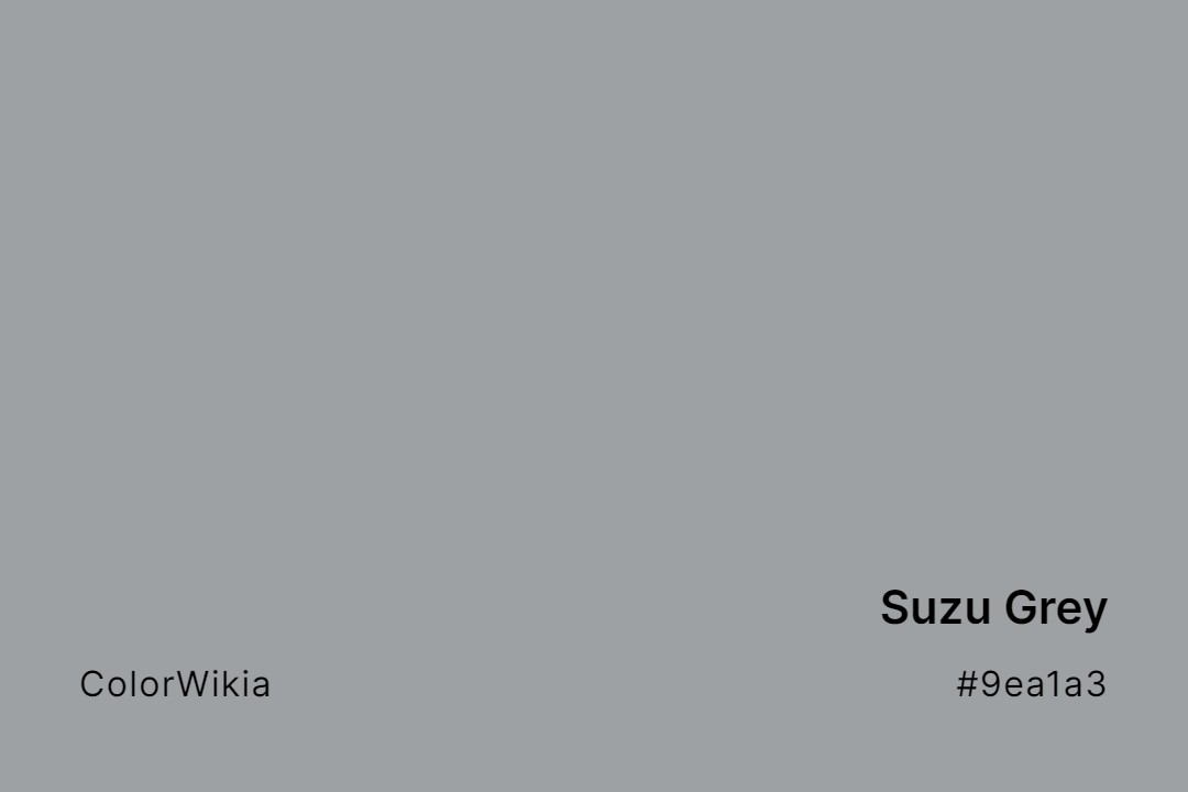 Suzu Grey Color – #9ea1a3: Codes and Complete Breakdown