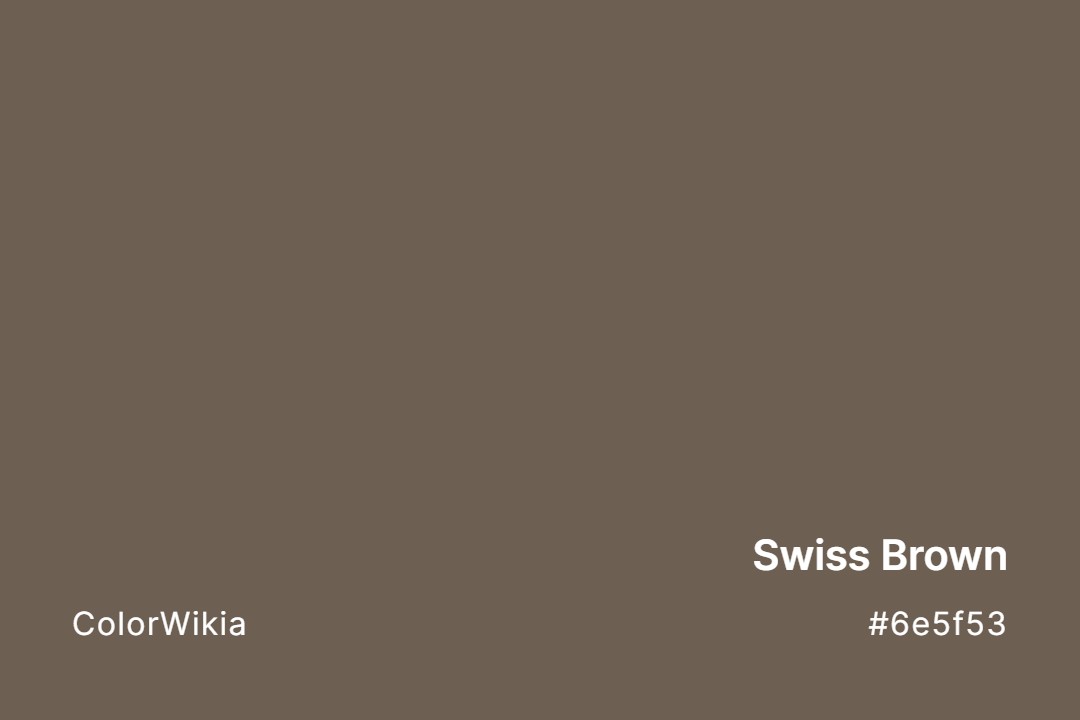 Swiss Brown Color – #6e5f53: Codes and Complete Breakdown