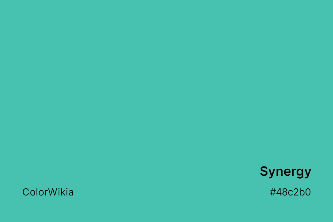 Synergy Color – #48c2b0: Codes and Complete Breakdown
