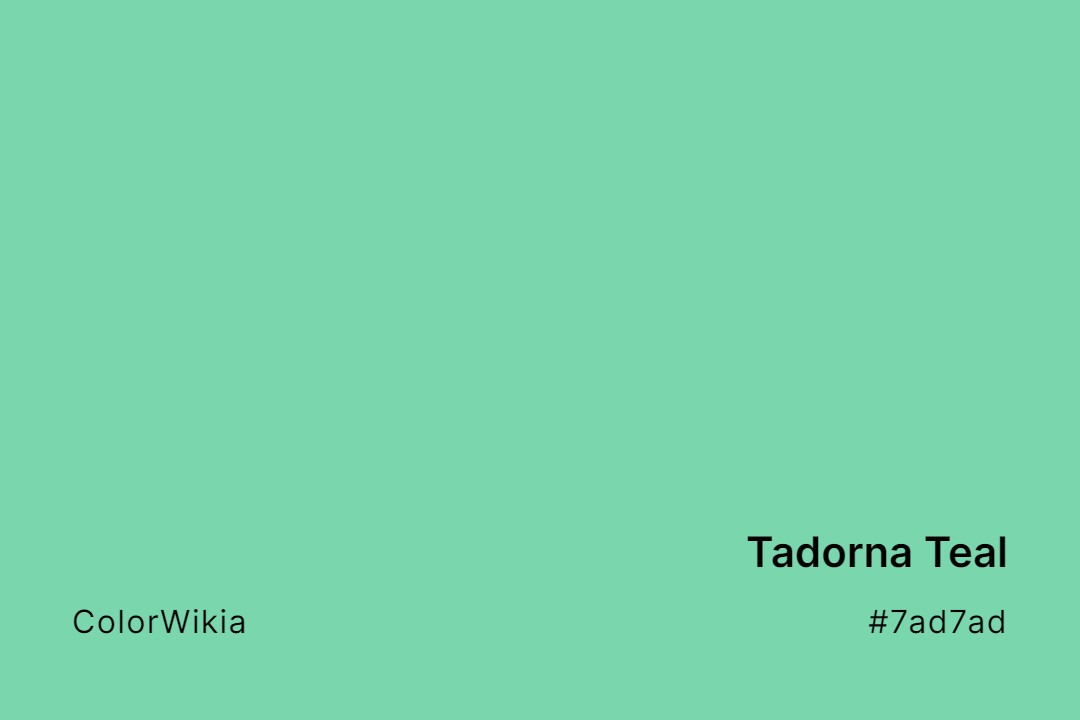 Tadorna Teal Color – #7ad7ad: Codes and Complete Breakdown