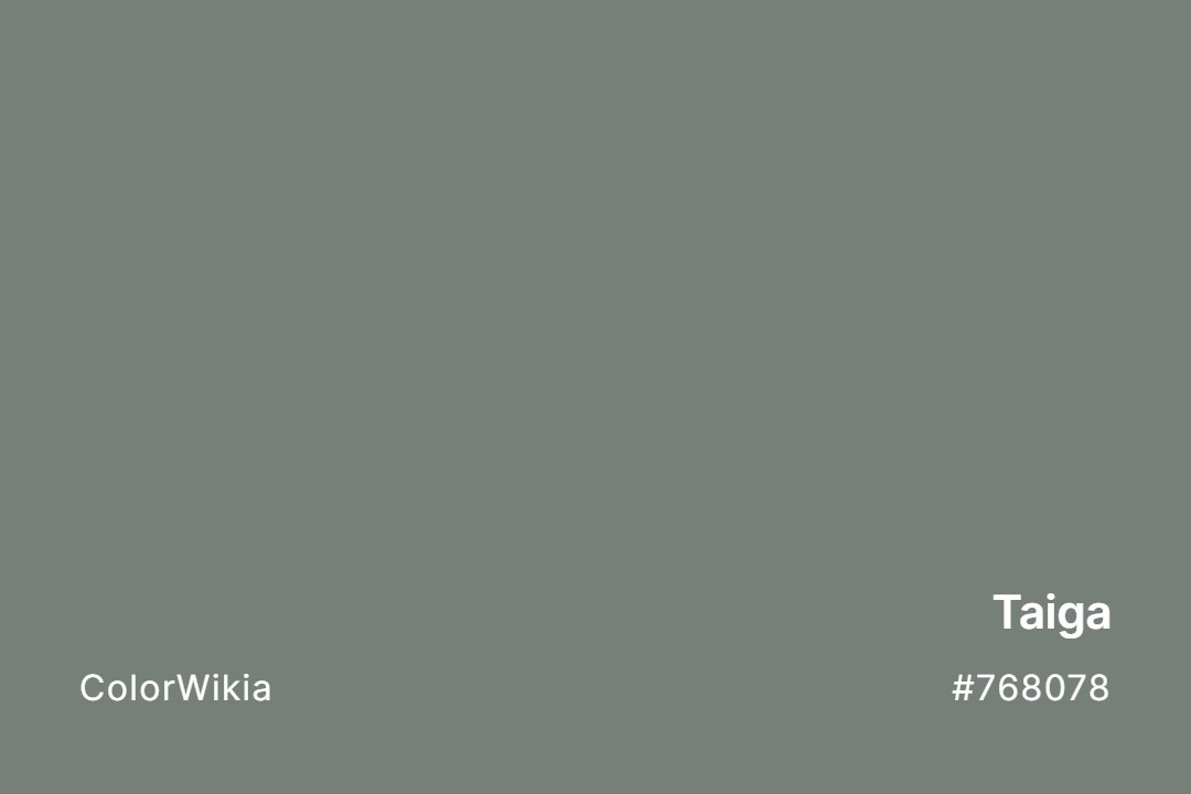 Taiga Color – #768078: Codes and Complete Breakdown