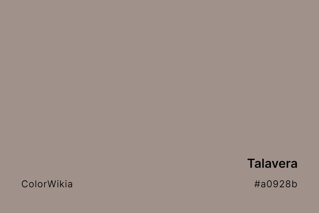 Talavera Color – #a0928b: Codes and Complete Breakdown