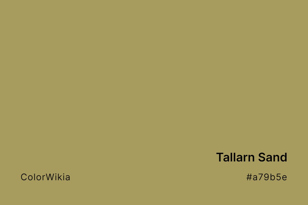 Tallarn Sand Color – #a79b5e: Codes and Complete Breakdown