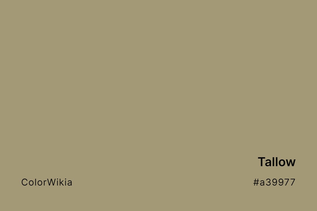 Tallow Color – #a39977: Codes and Complete Breakdown
