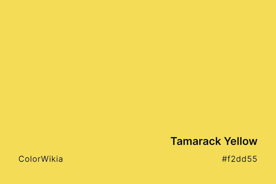 Tamarack Yellow Color – #f2dd55: Codes and Complete Breakdown