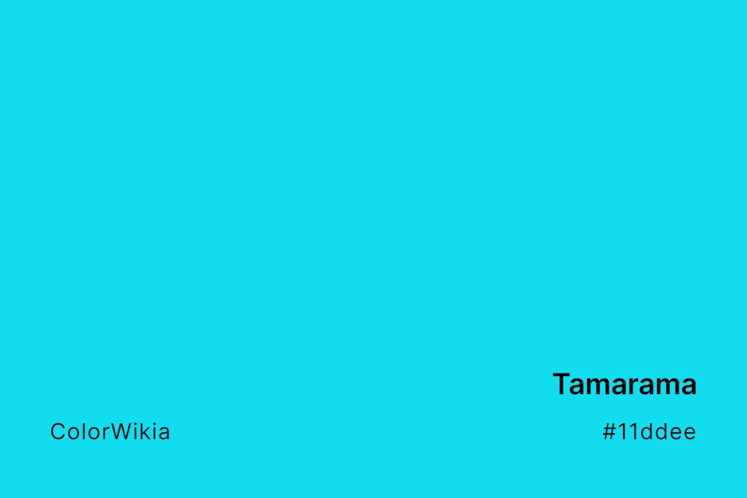 Tamarama Color – #11ddee: Codes and Complete Breakdown