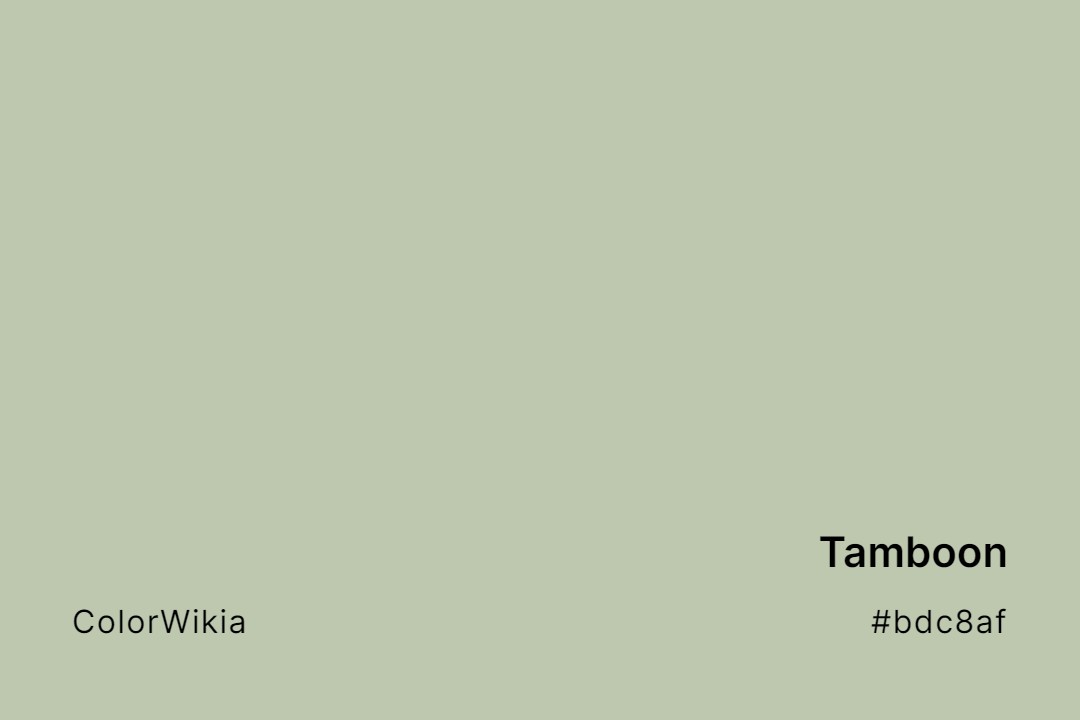Tamboon Color – #bdc8af: Codes and Complete Breakdown