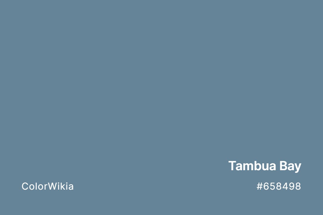 Tambua Bay Color – #658498: Codes and Complete Breakdown