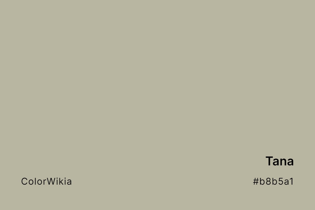 Tana Color – #b8b5a1: Codes and Complete Breakdown