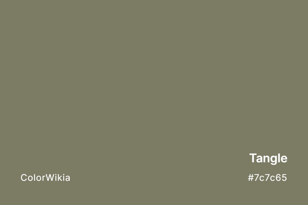 Tangle Color – #7c7c65: Codes and Complete Breakdown