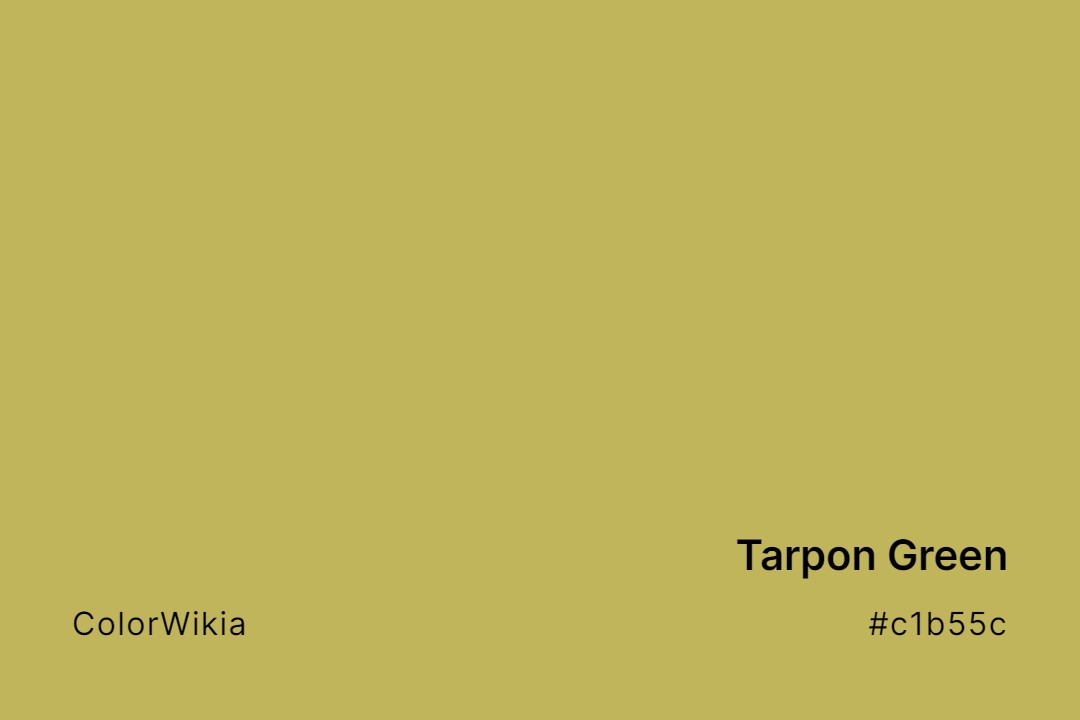 Tarpon Green Color – #c1b55c: Codes and Complete Breakdown